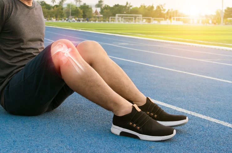 Joint, Bone & Musculoskeletal Disorders